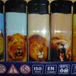 briquets lions